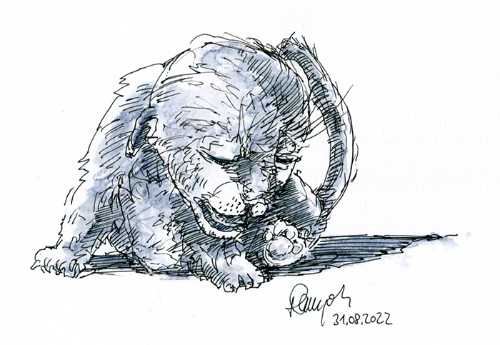 Zeichnung Löwenbaby Lokschuppen Rosenheim