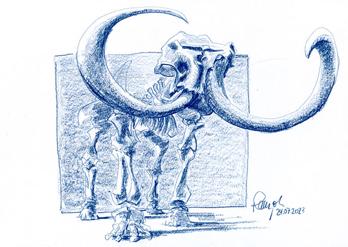 Zeichnung Galerie de Paléontologie et d'Anatomie comparée